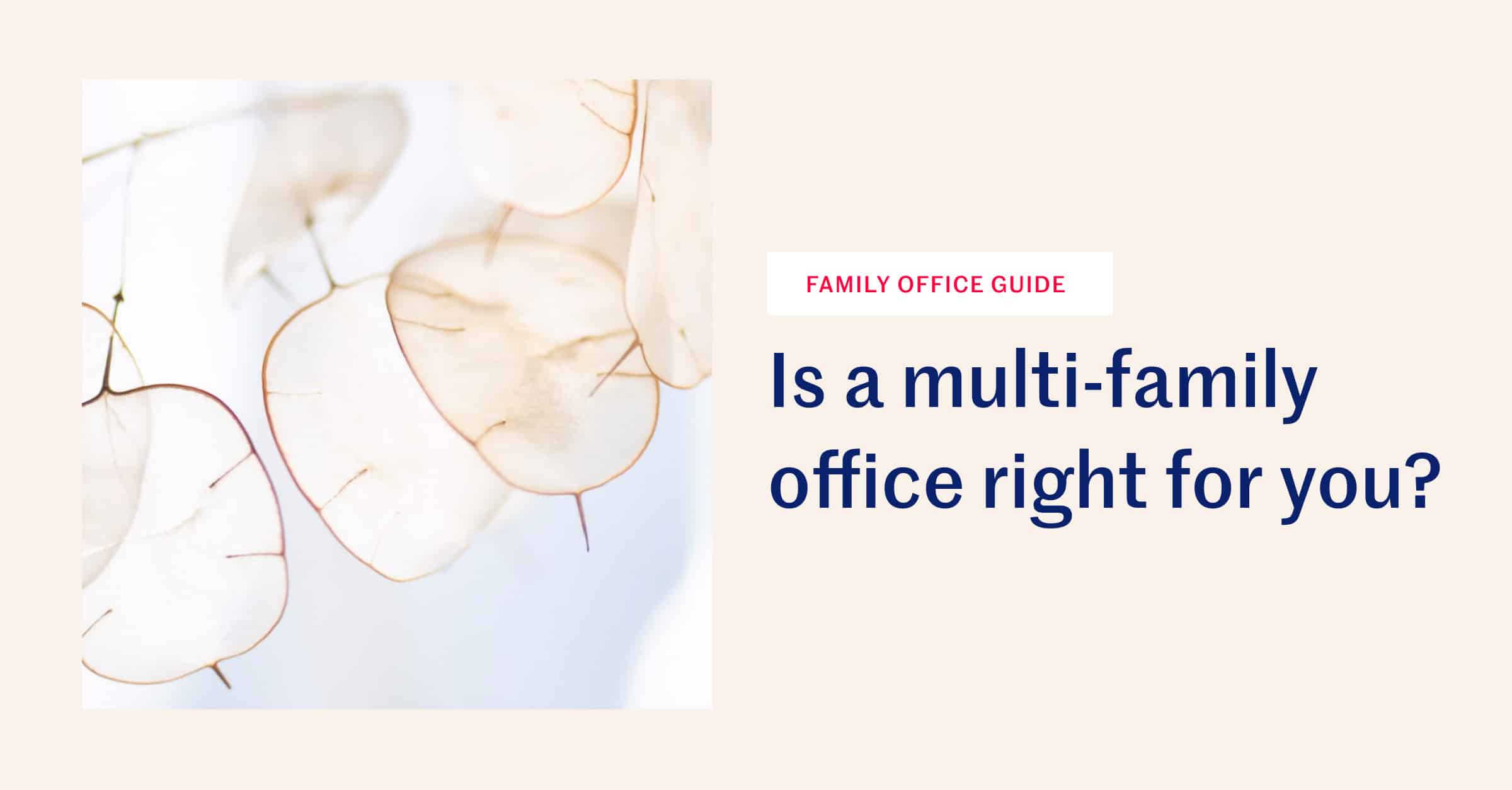 What is a multifamily office? A Simple Guide
