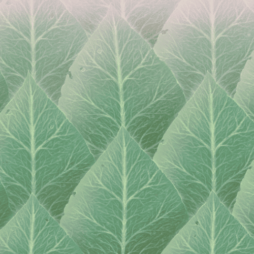 eton solution case study 500X500