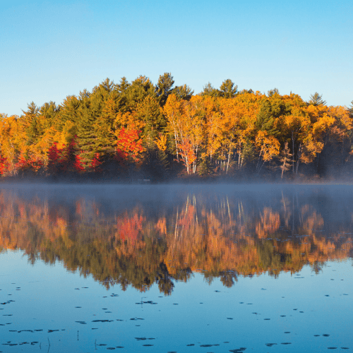 Calm lake with autumn trees reflected in the water, symbolising family office reputation and visibility