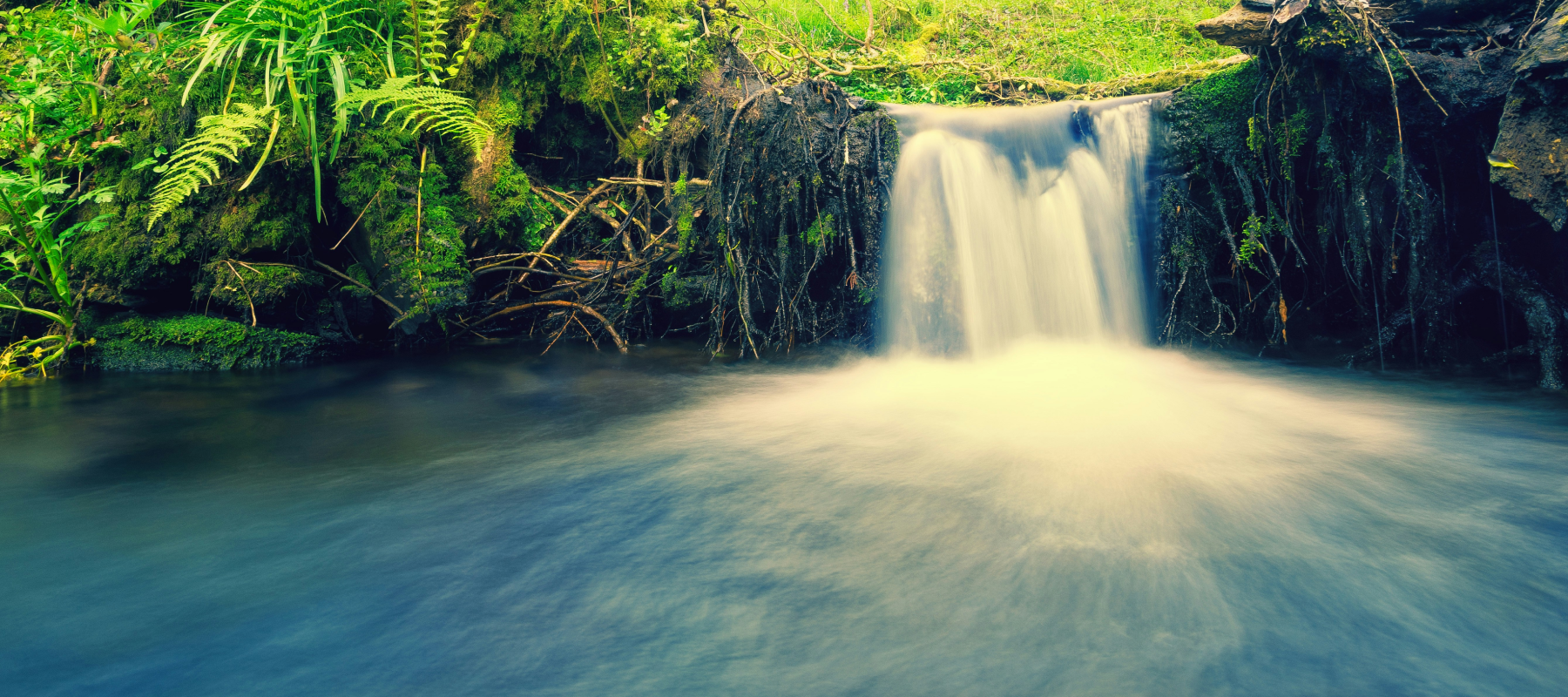 Family office investment trends and global capital flows – forest reflection imagery