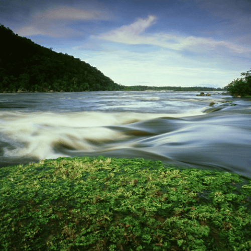 Fast-flowing river with green vegetation in the foreground, symbolising hidden drains on family office portfolios.