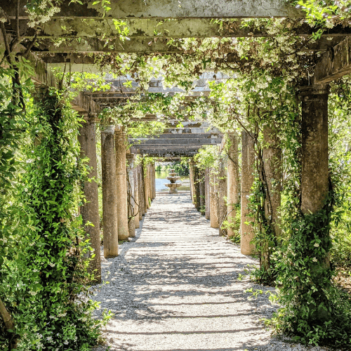 Hopewell family office case study with MyFO platform – garden pathway image