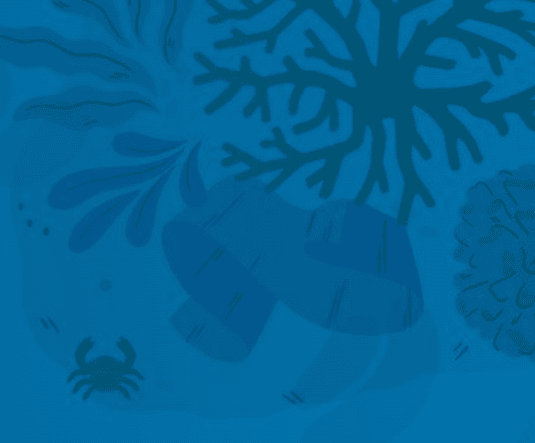 International Institute for Management Development