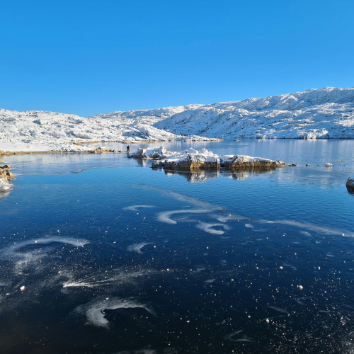 AI in family office software 2025 – from hype to implementation, symbolised by frozen lake and clear reflection