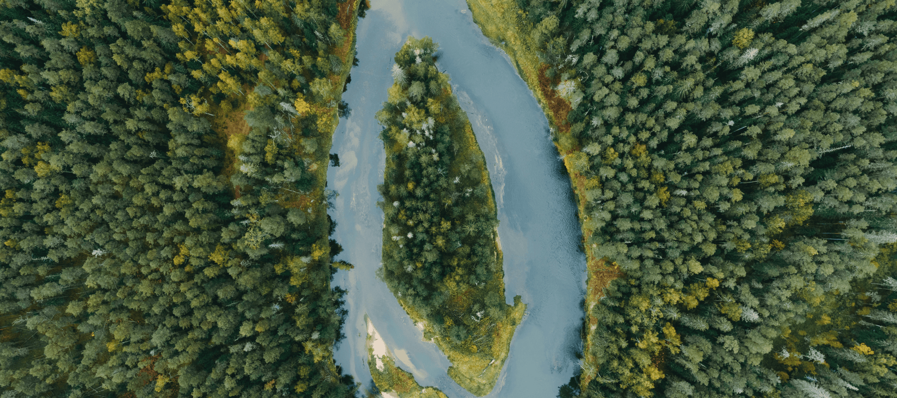 Should You Start a Single-Family Office – A Reality Check Should You Start a Single-Family Office – A Reality Check