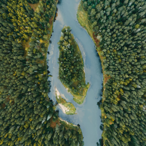 Aerial view of winding river through forest symbolising the decision journey of starting a single-family office Aerial view of winding river through forest symbolising the decision journey of starting a single-family office